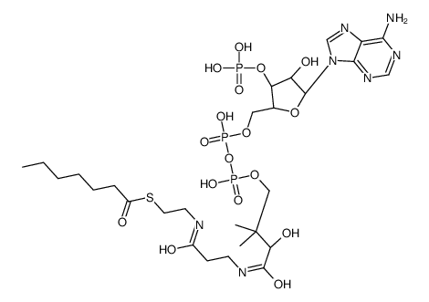 S-[2-[3-[[(2R)-4-[[[(2R,3S,4R,5R)-5-(6-aminopurin-9-yl)-4-hydroxy-3-phosphonooxyoxolan-2-yl]methoxy-hydroxyphosphoryl]oxy-hydroxyphosphoryl]oxy-2-hydroxy-3,3-dimethylbutanoyl]amino]propanoylamino]ethyl] heptanethioate Structure