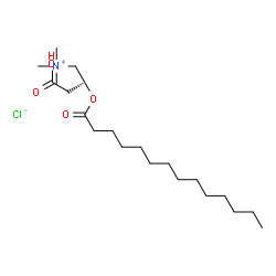 Myristoyl-L-carnitine (chloride) picture