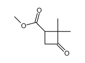 methyl 2,2-dimethyl-3-oxocyclobutane-1-carboxylate picture