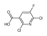 2,6-dichloro-5-fluoronicotinic acid picture