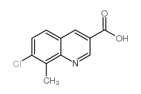7-氯-8-甲基喹啉-3-羧酸图片