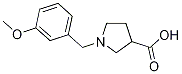 1-(3-METHOXYBENZYL)PYRROLIDINE-3-CARBOXYLICACID结构式