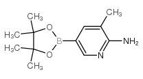 3-甲基-5-(4,4,5,5-四甲基-1,3,2-二氧硼杂环戊烷-2-基)吡啶-2-胺图片