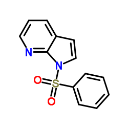 1-(Phenylsulfonyl)-1H-pyrrolo[2,3-b]pyridine structure