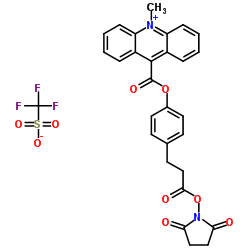Acridinium C2 NHS Ester Structure
