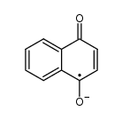 1,4-Naphthoquinone radical anion Structure