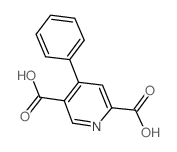 4-PHENYL-2,5-PYRIDINEDICARBOXYLIC ACID picture