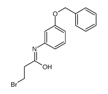 3-bromo-N-(3-phenylmethoxyphenyl)propanamide结构式