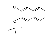 2-(tert-butoxy)-3-chloronaphthalene结构式