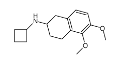 N-cyclobutyl-5,6-dimethoxy-1,2,3,4-tetrahydronaphthalen-2-amine Structure