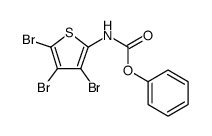 Carbamic acid, (3,4,5-tribromo-2-thienyl)-, phenyl ester结构式