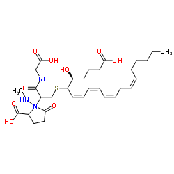 N-methyl Leukotriene C4结构式