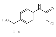 n1-(4-isopropylphenyl)-2-chloroacetamide picture