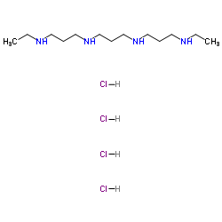N1,N11-Diethylnorspermine tetrahydrochloride图片