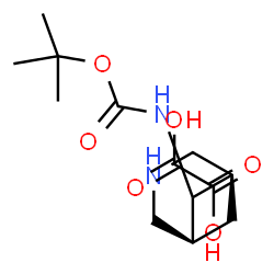 N-[内-3-氮杂双环[3.1.1]庚烷-6-基]氨基甲酸叔丁酯草酸盐结构式