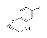 2,5-dichloro-N-prop-2-ynylaniline Structure