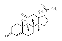17α-Pregn-4-ene-3,11,20-trione(6CI,7CI,8CI)结构式