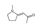 2-Propanone, 1-(1-methyl-2-pyrrolidinylidene)- (9CI) picture
