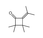 2,2,3,3-tetramethyl-4-propan-2-ylidenecyclobutan-1-one Structure