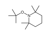 2,2,6,6-tetramethyl-1-[(2-methylpropan-2-yl)oxy]piperidine结构式