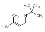 n-tert-butyl-3-methyl-2-butenaldimine Structure