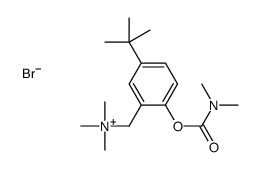 [5-tert-butyl-2-(dimethylcarbamoyloxy)phenyl]methyl-trimethylazanium,bromide结构式