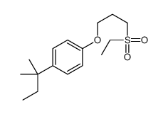 1-(3-ethylsulfonylpropoxy)-4-(2-methylbutan-2-yl)benzene结构式