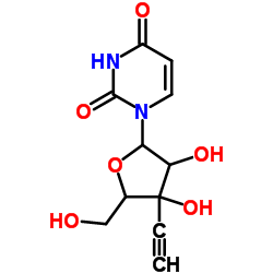 Native Bacillus stearothermophilus Alanine Racemase结构式