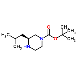 (S)-1-BOC-3-异丁基哌嗪结构式