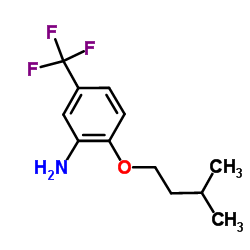2-(3-Methylbutoxy)-5-(trifluoromethyl)aniline Structure