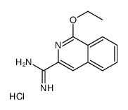 1-ethoxyisoquinoline-3-carboximidamide,hydrochloride Structure