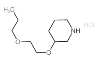 3-(2-Propoxyethoxy)piperidine hydrochloride Structure