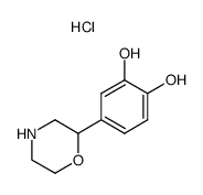 4-MORPHOLIN-2-YLPYROCATECHOL HYDROCHLORIDE结构式