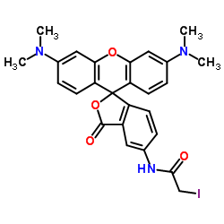 5(6)-碘乙酰氨基四甲基若丹明图片