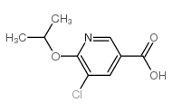 5-氯-6-(1-甲氧基)-3-吡啶羧酸图片