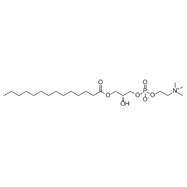 LysoPC(14:0/0:0) Structure