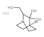 2-methylidene-1-azabicyclo[2.2.2]octan-3-one,hydrate,hydrochloride Structure