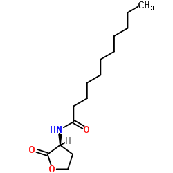 N-undecanoyl-L-Homoserine lactone图片