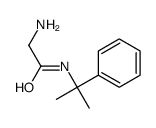 2-amino-N-(2-phenylpropan-2-yl)acetamide结构式