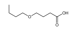 BUTANOICACID,4-BUTOXY-结构式