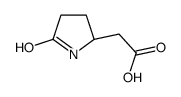(S)-5-Oxo-2-pyrrolidineacetic acid structure