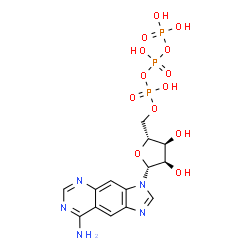 benzo-ATP structure