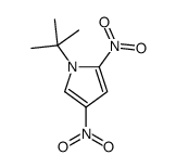 1-tert-butyl-2,4-dinitropyrrole Structure