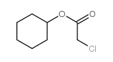 Acetic acid, 2-chloro-, cyclohexyl ester picture