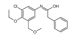 N-[3-chloro-4-ethoxy-5-(methoxymethyl)phenyl]-2-phenylacetamide结构式