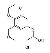 2-chloro-N-[3-chloro-4-ethoxy-5-(methoxymethyl)phenyl]acetamide结构式