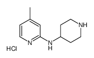 (4-Methyl-pyridin-2-yl)-piperidin-4-yl-amine hydrochloride picture