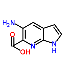 5-Amino-1H-pyrrolo[2,3-b]pyridine-6-carboxylic acid结构式