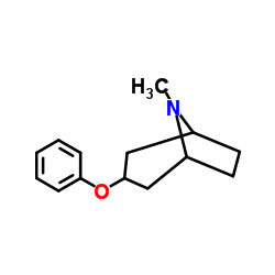 8-Methyl-3-phenoxy-8-azabicyclo[3.2.1]octane Structure