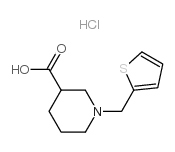 1-THIOPHEN-2-YLMETHYL-PIPERIDINE-3-CARBOXYLIC ACID HYDROCHLORIDE picture